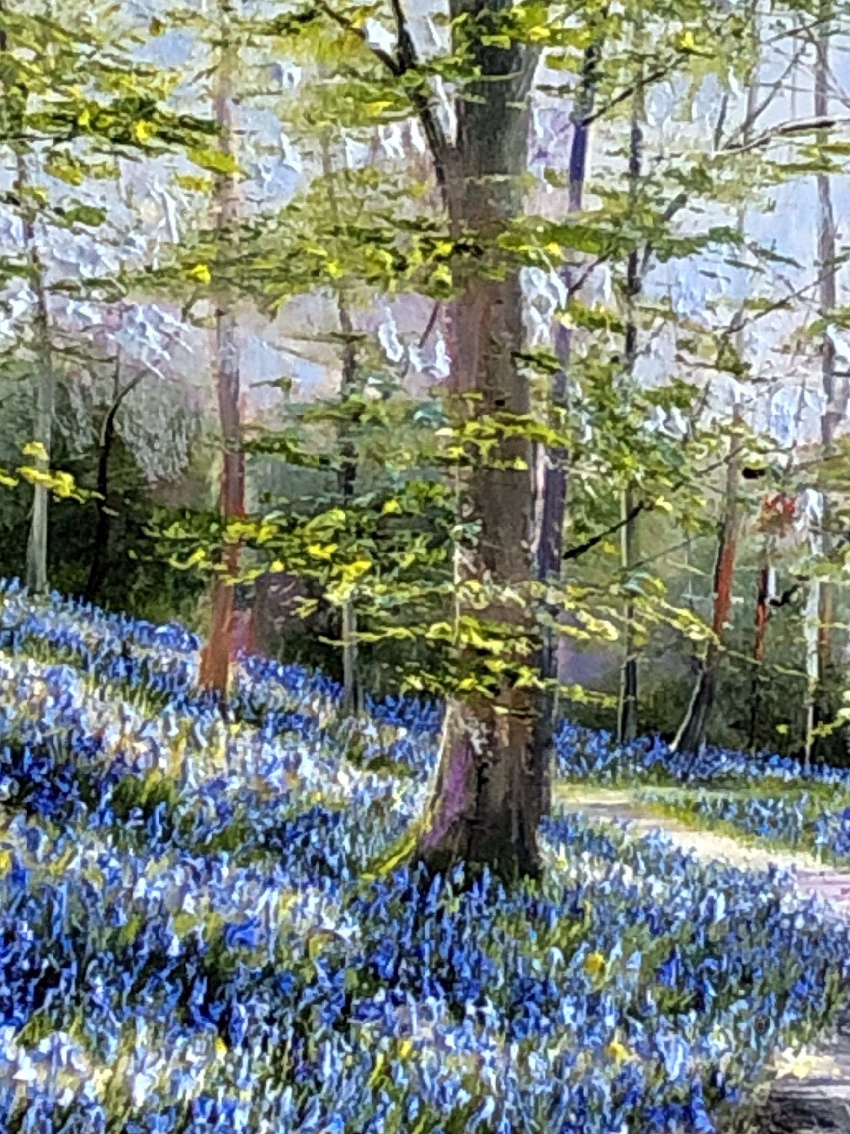 Courtmacsherry Bluebells by Mark Eldred for Kilbaha Gallery