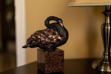 Bronze Swan