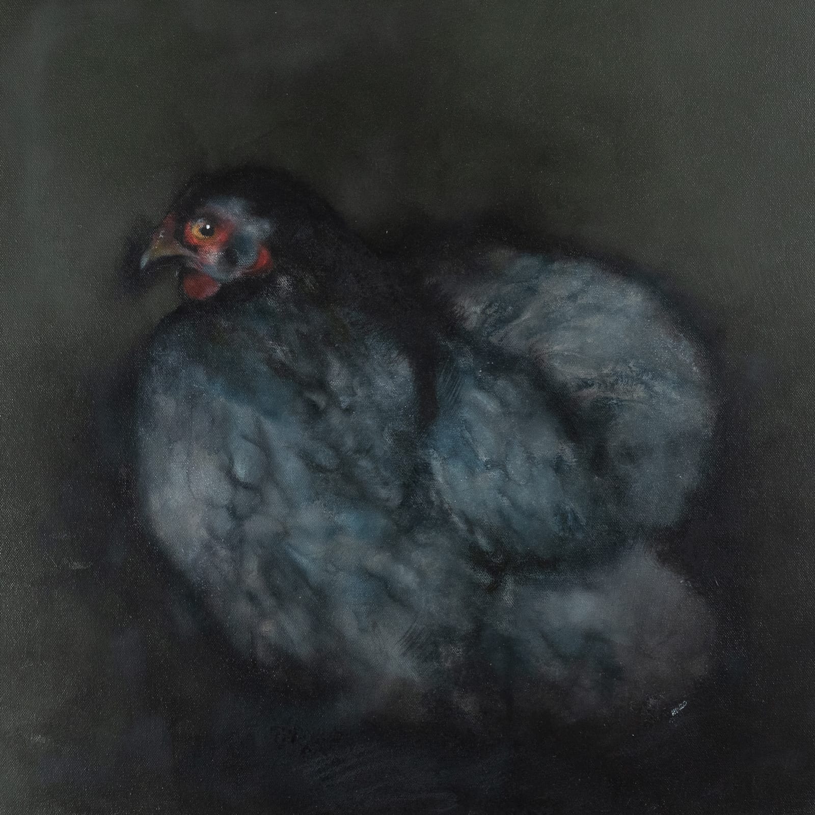 Heidi Wickham for KIlbaha Gallery Buy Irish Art Online