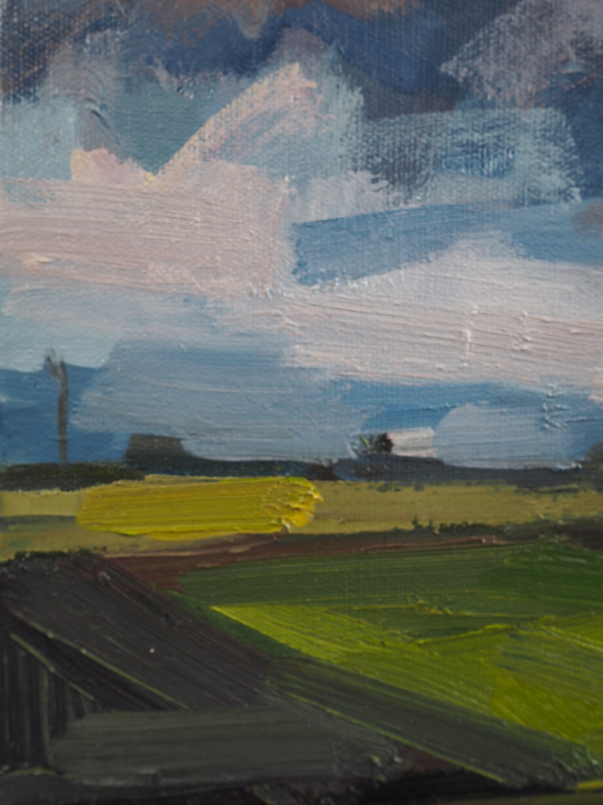 Big Clouds oil painting by Bairbre Duggan landscape clouds West of Ireland landscape painting Irish art