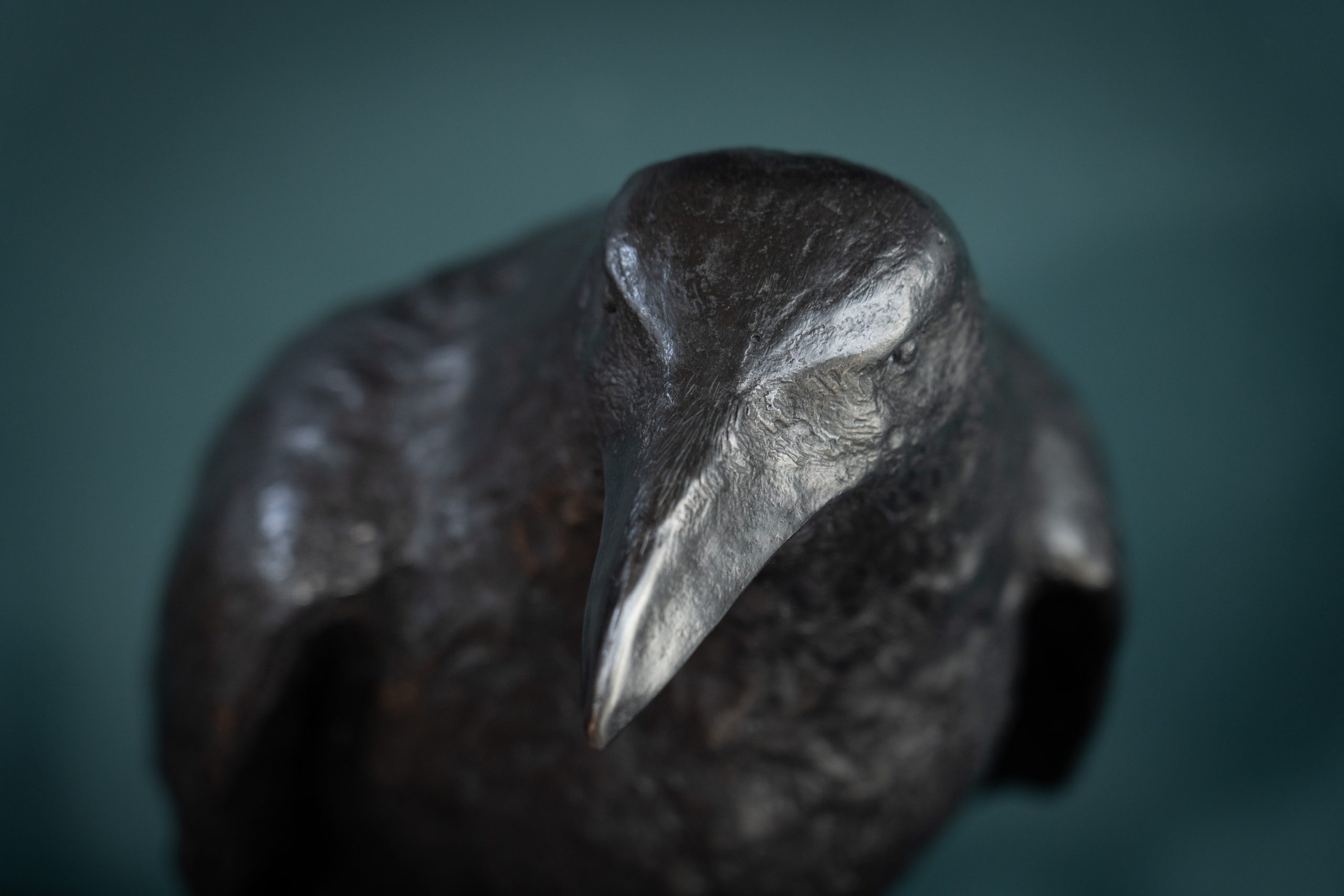 Adam Pomeroy Bronze Raven lifesize raven bronze statue sculptor contemporary Irish artist Irish art original Irish art Interiors art and interiors