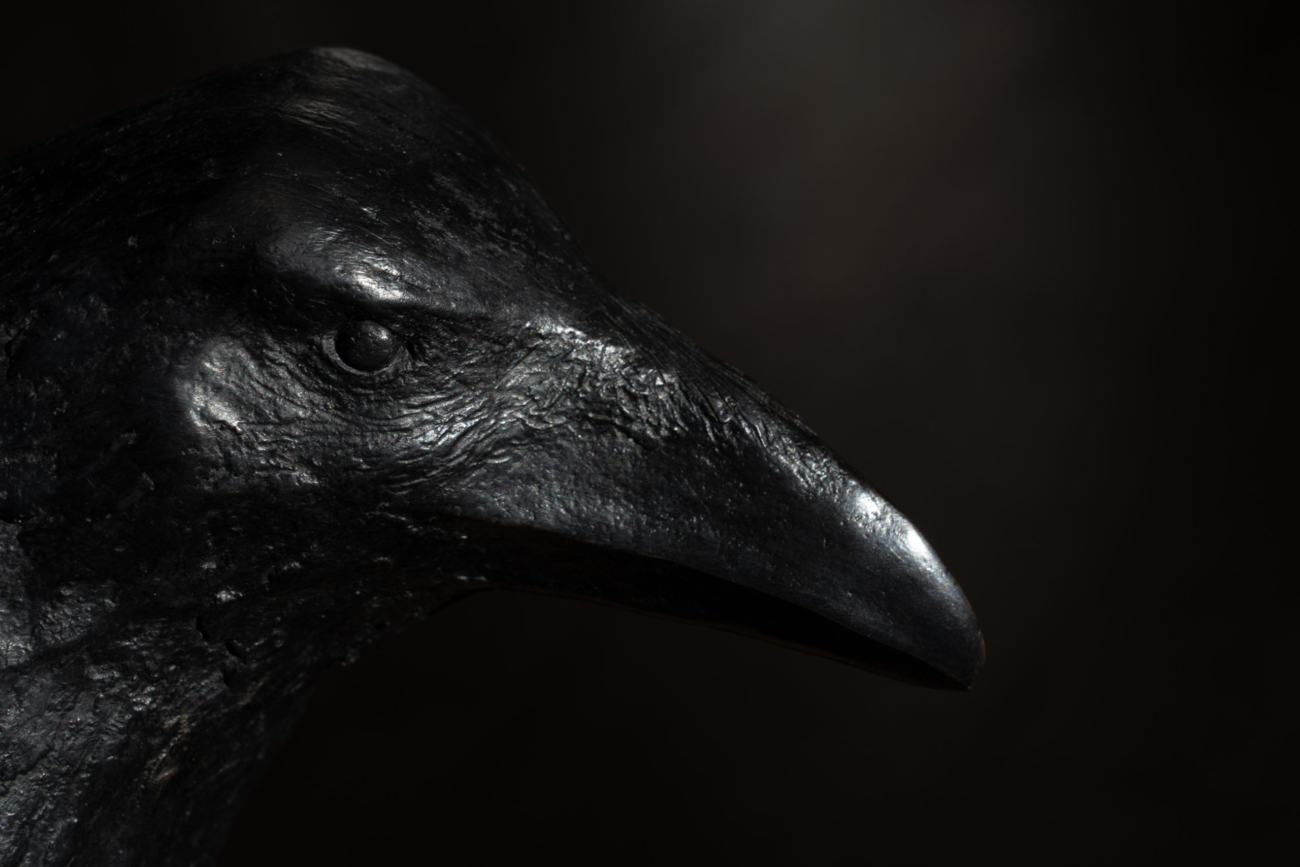 Adam Pomeroy Bronze Raven lifesize raven bronze statue sculptor contemporary Irish artist Irish art original Irish art Interiors art and interiors