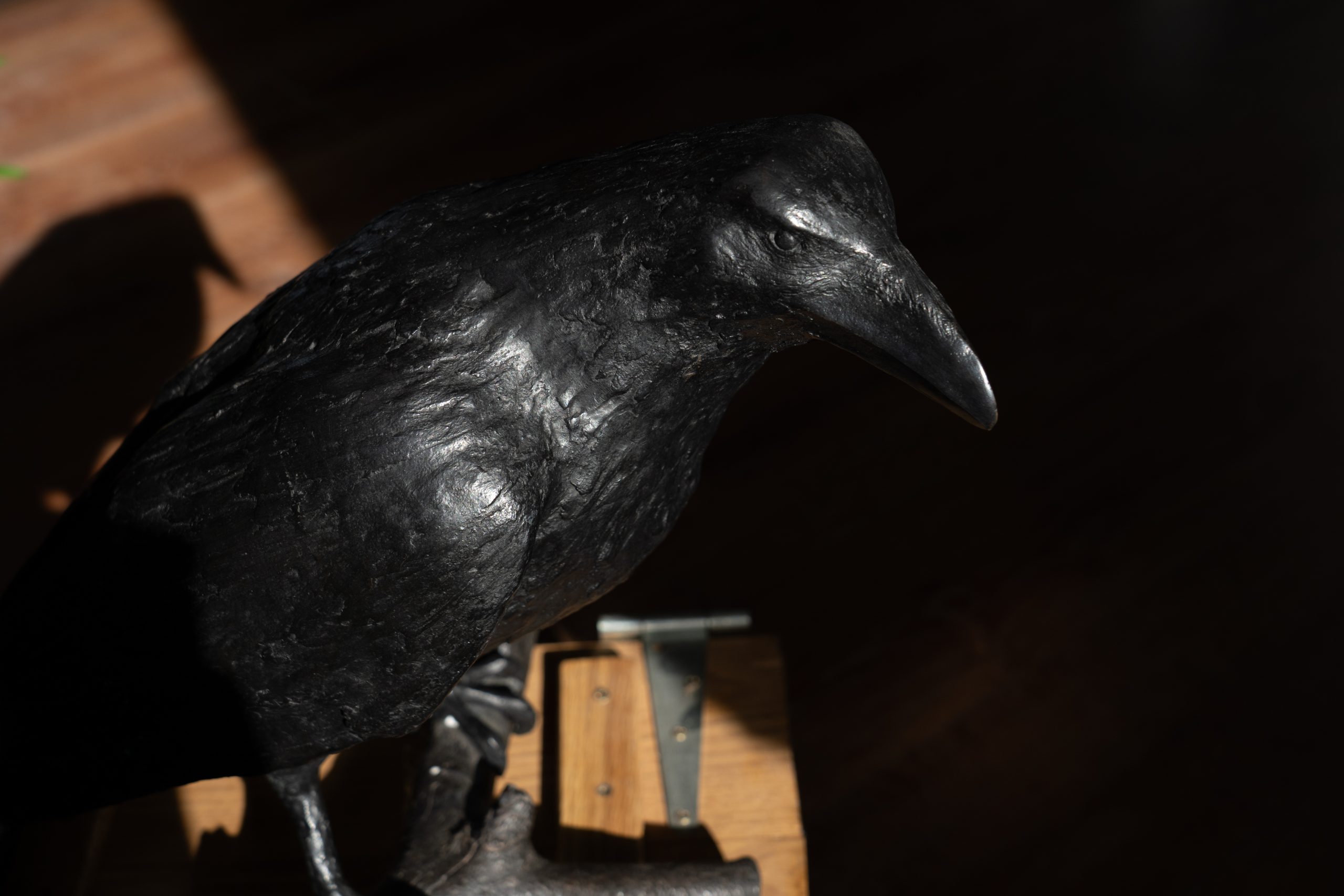 Adam Pomeroy Bronze Raven lifesize raven bronze statue sculptor contemporary Irish artist Irish art original Irish art Interiors art and interiors
