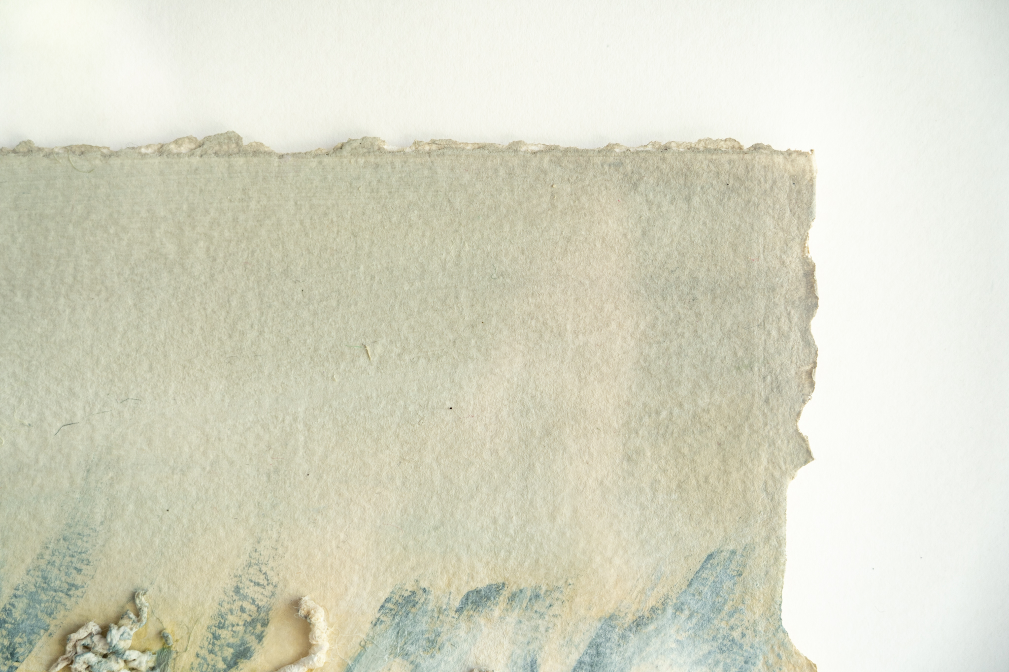 Carmel Madgian Kilbaha Gallery original Irish art Mixed Media Framed behind glass textures colours hedgerows flowers native wildflowers beautiful Interiors Kilbaha Gallery