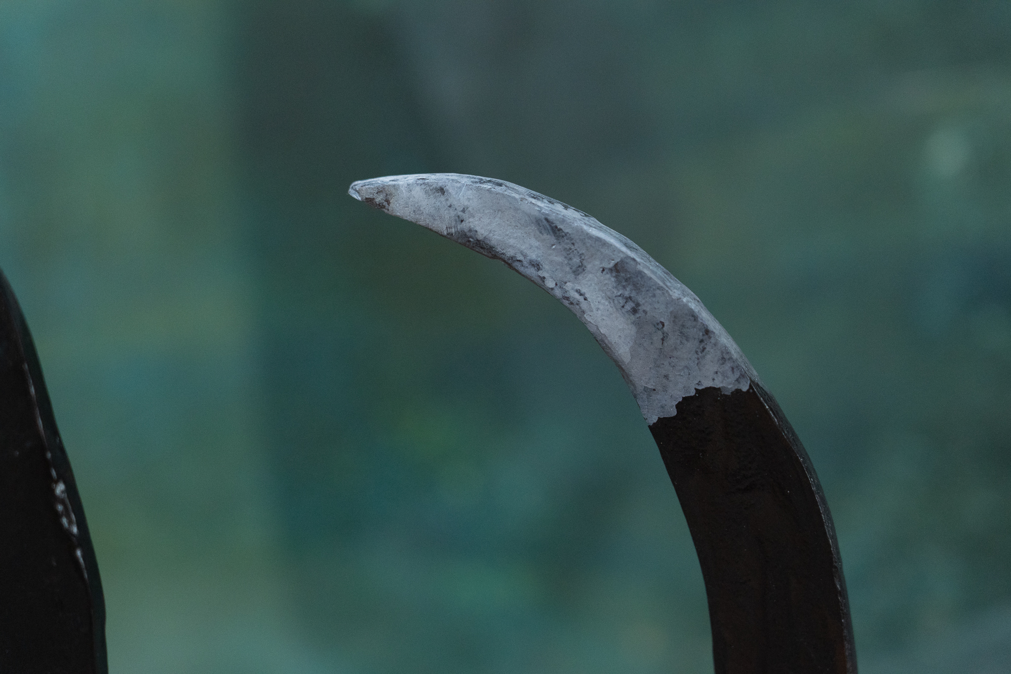 Seamus Connolly Bronze Dog Irish Art bronze sculpture Ireland original Irish art Bronze Foundry Button Dog Irish Interiors Art and Interiors contemporary Irish art Foundry