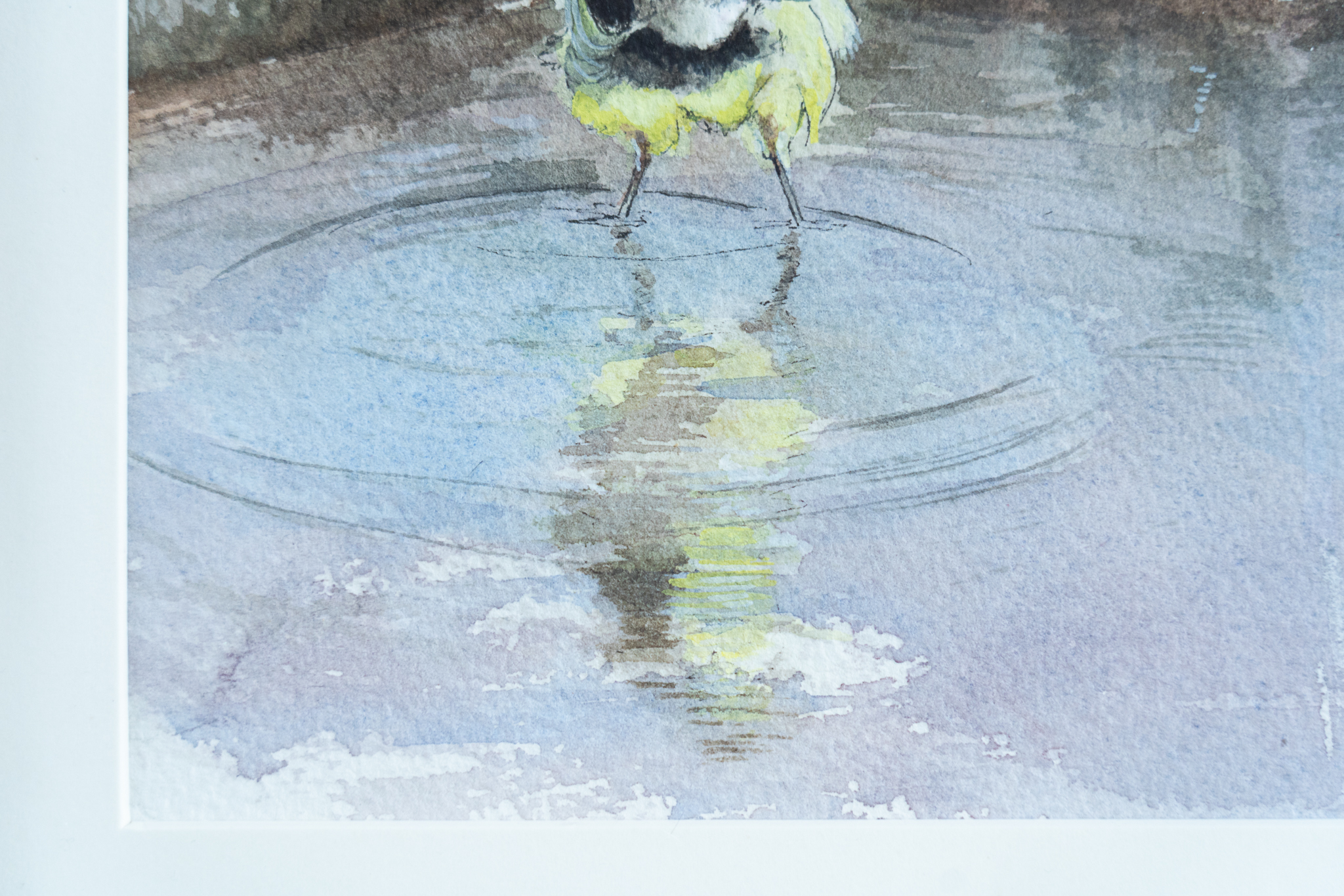 Birds Original Watercolour reflections water lake Ireland painting Interiors artist known as D West Clare artist Kilbaha Gallery Ireland Irish Interiors