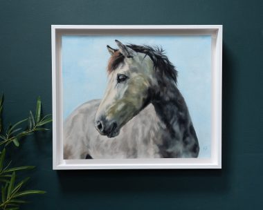 Jesse - Connemara Filly on a Sunny Morning