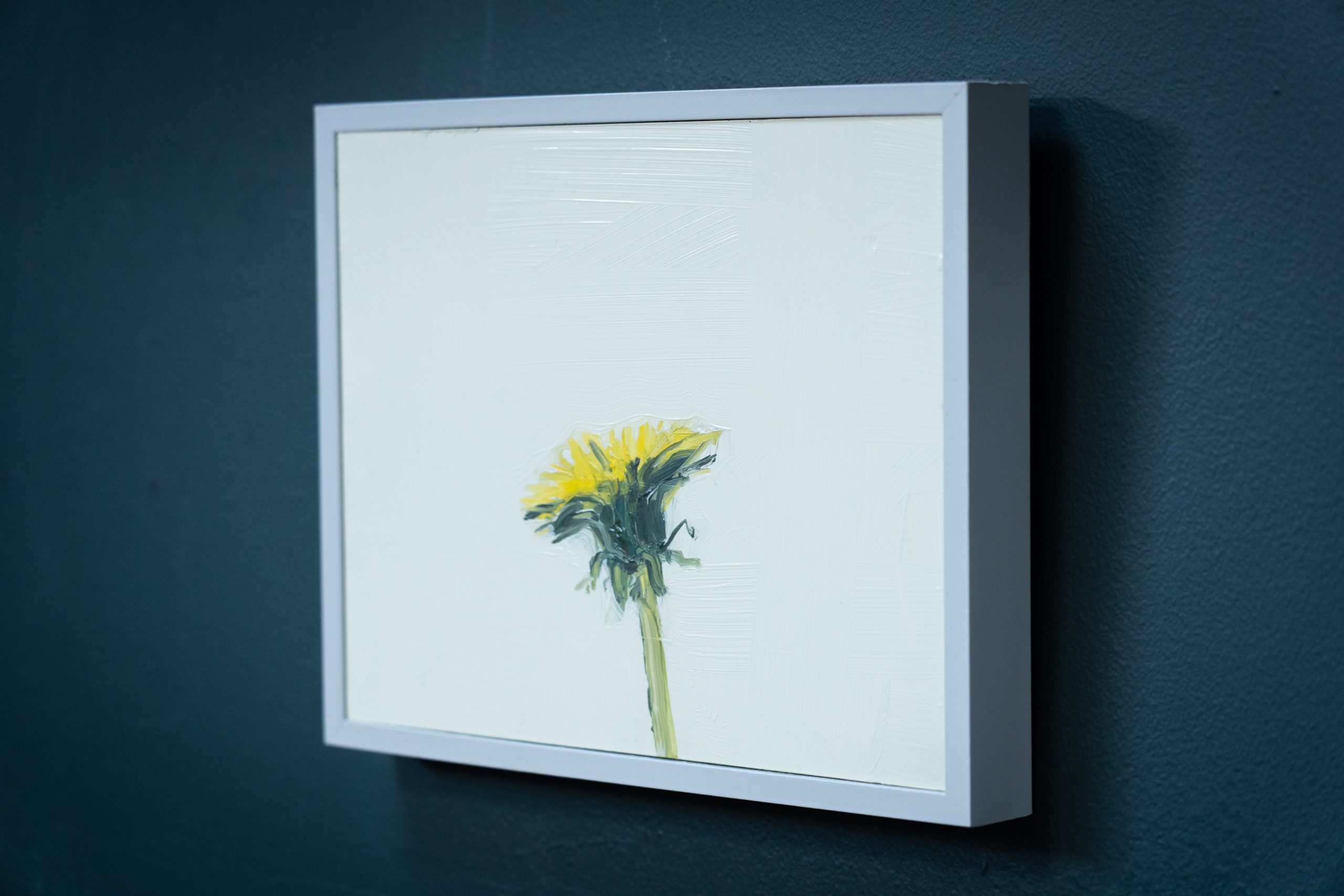Kaye Maahs Dandelion original oil painting collectable oils on canvas framed beautiful wildflower collectable original piece Ireland Irish gift Kilbaha Gallery