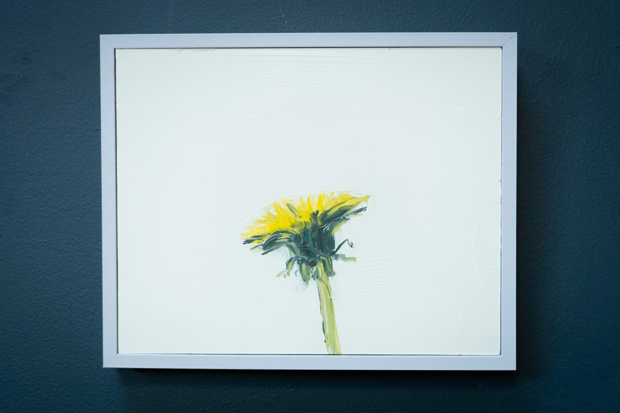 Kaye Maahs Dandelion original oil painting collectable oils on canvas framed beautiful wildflower collectable original piece Ireland Irish gift Kilbaha Gallery