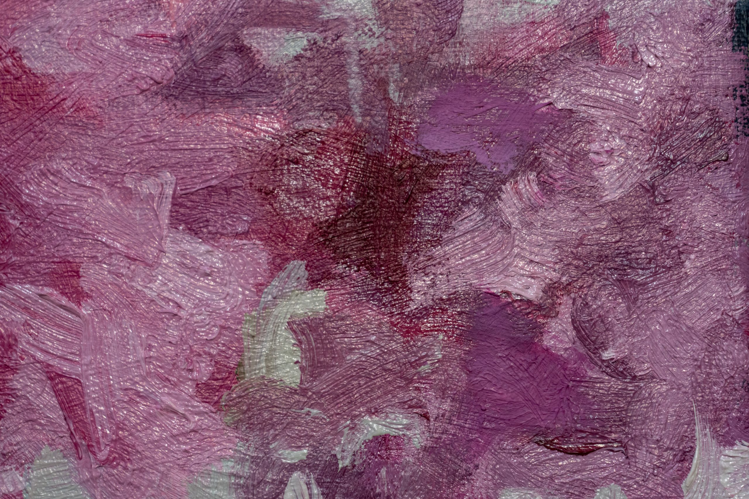 Bairbre Duggan Peonies original Irish art oil on canvas framed contemporary Irish art flowers in jar glass vase peonies Irish flowers Irish art original work collectable artist