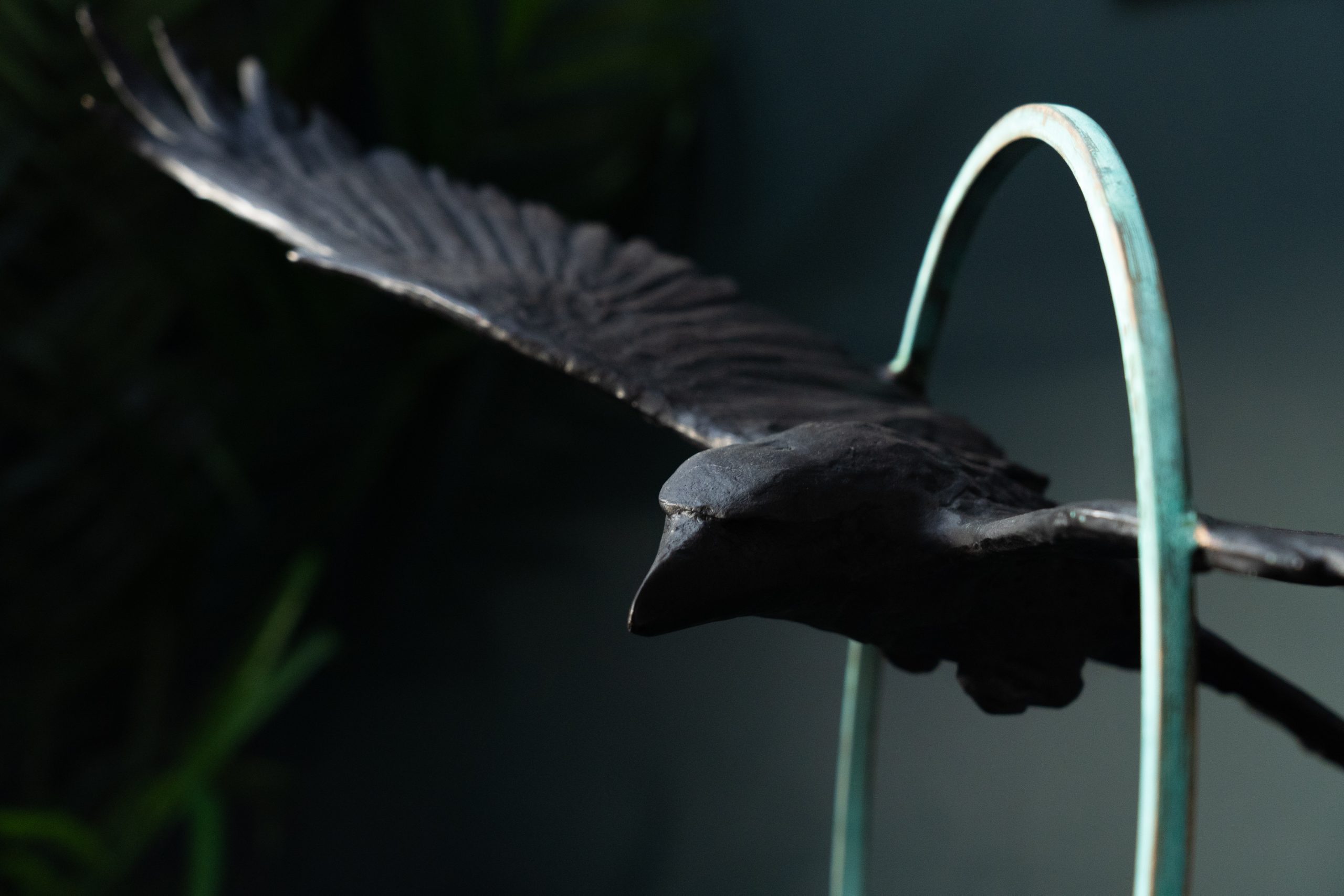 Adam Pomeroy Bronze Raven in Flight extraordinary piece of art Irish art sculpture Irish interiors adam pomeroy Kilbaha Gallery Ireland contemporary sculpture