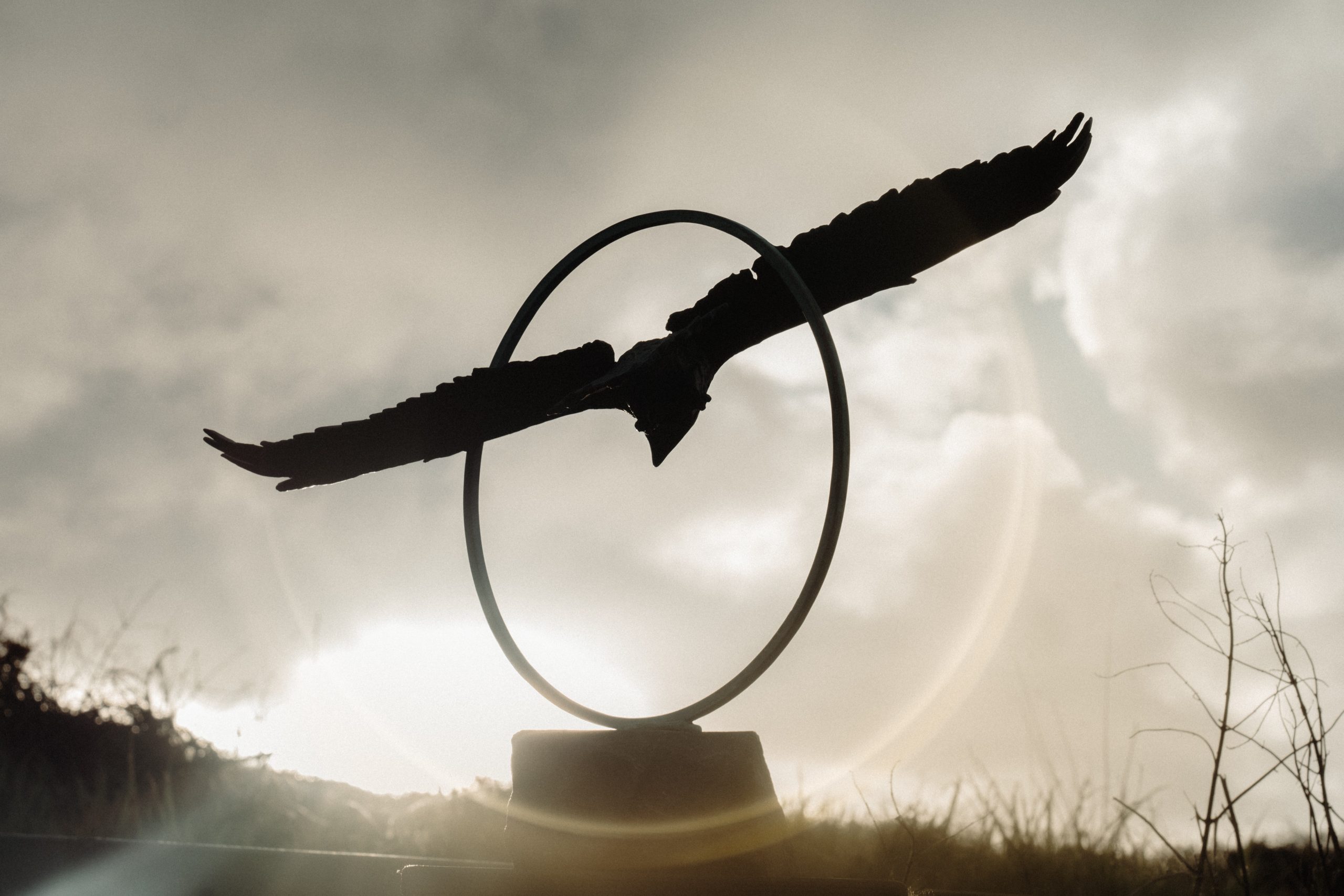 Adam Pomeroy Bronze Raven in Flight extraordinary piece of art Irish art sculpture Irish interiors adam pomeroy Kilbaha Gallery Ireland contemporary sculpture