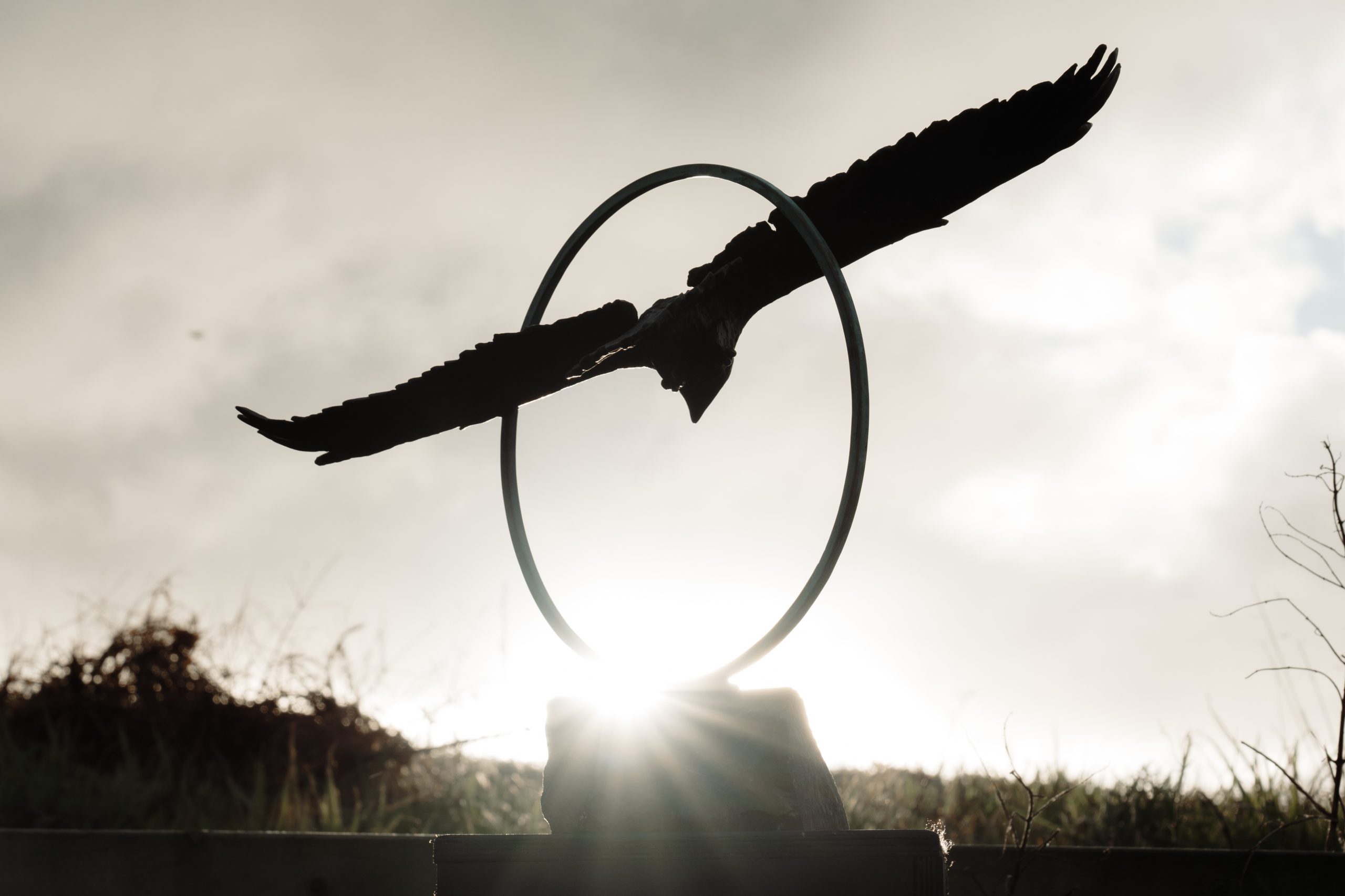 Adam Pomeroy Bronze Raven in Flight extraordinary piece of art Irish art sculpture Irish interiors adam pomeroy Kilbaha Gallery Ireland contemporary sculpture