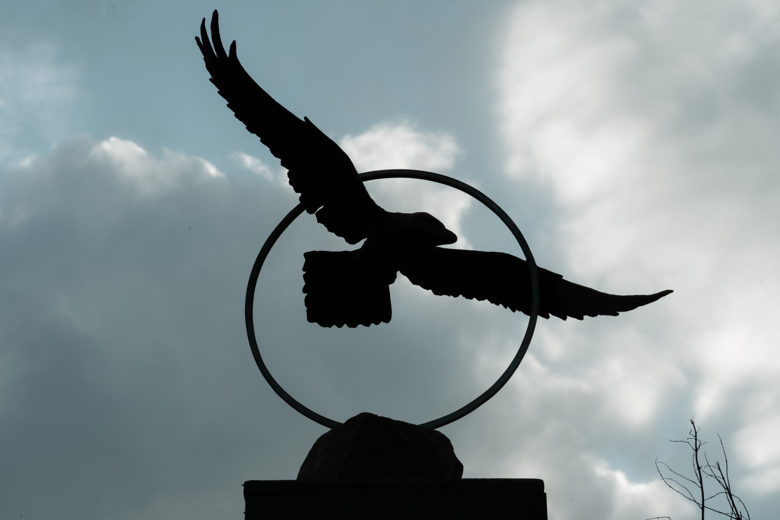 Adam Pomeroy Bronze Raven in Flight extraordinary piece of art Irish art sculpture Irish interiors adam pomeroy Kilbaha Gallery Ireland contemporary sculpture