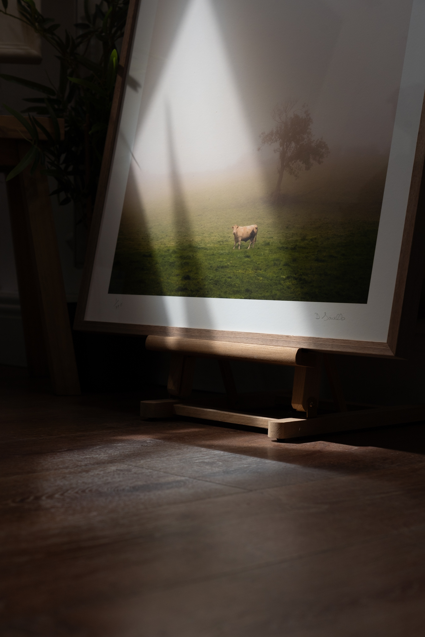 Derek Saville Fine Art Photography Ireland West of Ireland Kilbaha Gallery Irish Art beautifully framed original work art gift interiors interior inspiration