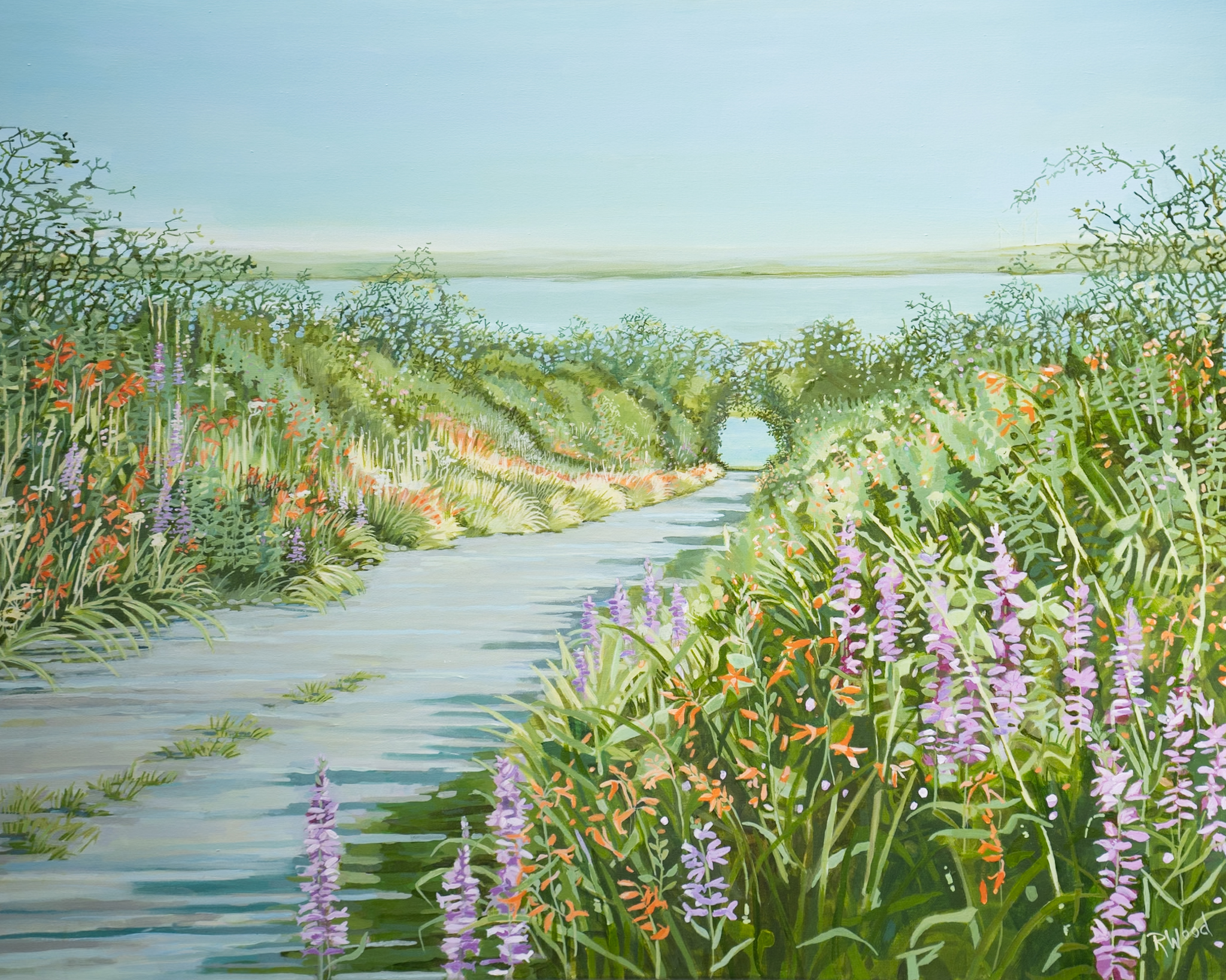 Ruth Wood original Irish art beautiful painting flowers wild flower meadow late summer querrin co Clare visit clare Querrin Co Clare Ireland West of Ireland flowers field of flowers framed painting oil painting Irish Interiors Kilbaha Gallery