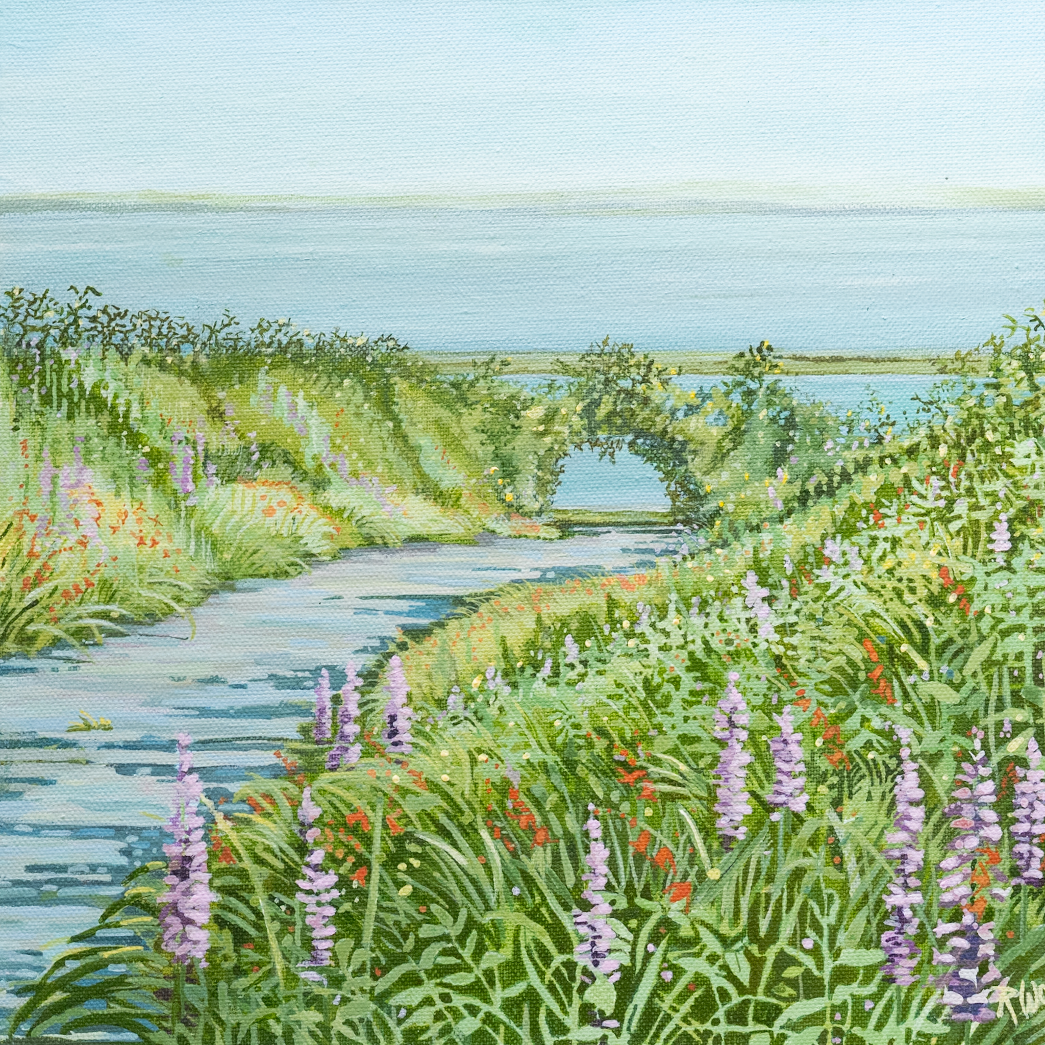 Ruth Wood original Irish art beautiful painting flowers wild flower meadow late summer querrin co Clare visit clare Querrin Co Clare Ireland West of Ireland flowers field of flowers framed painting oil painting Irish Interiors Kilbaha Gallery