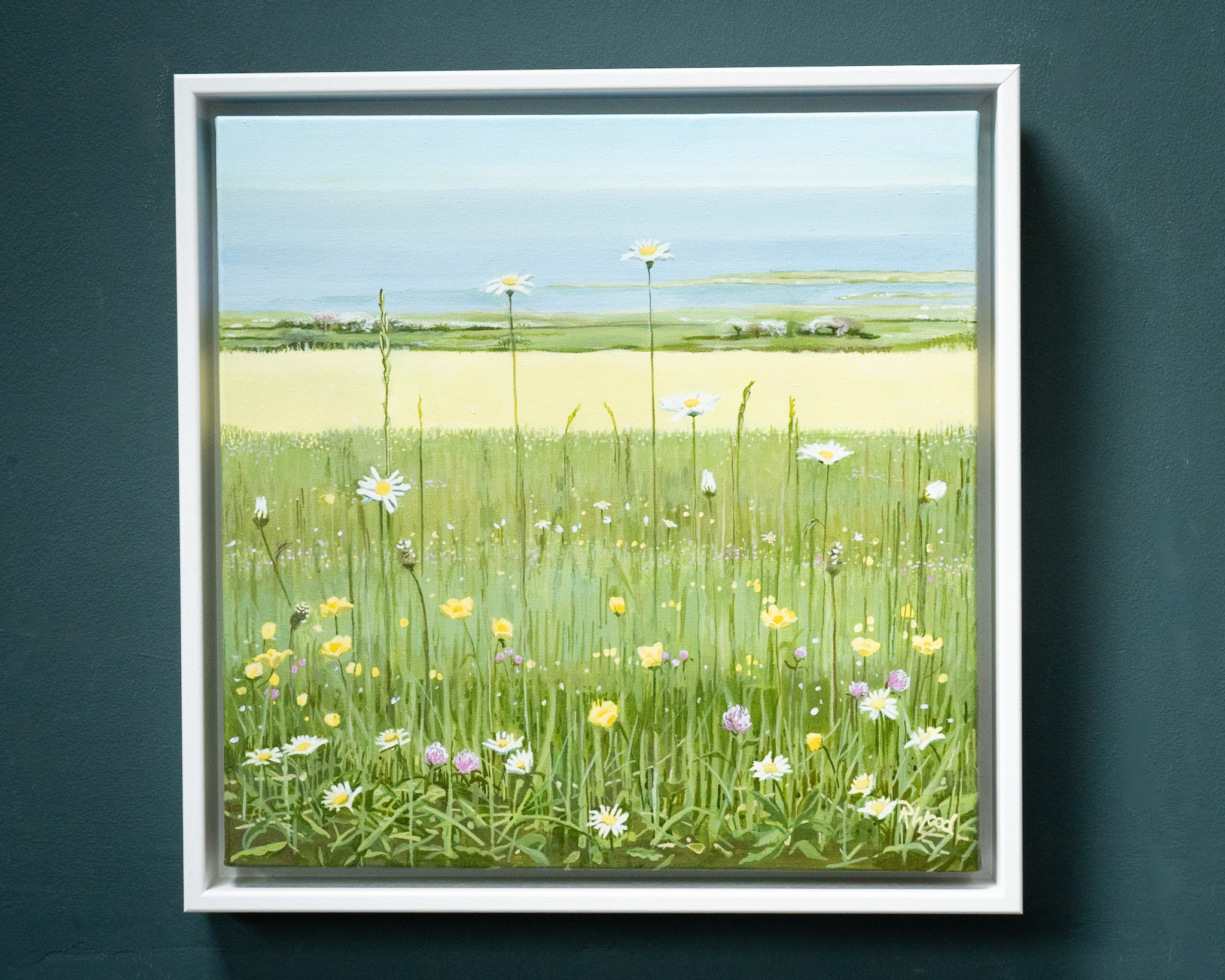 Ruth Wood original Irish art beautiful painting flowers wild flower meadow late summer querrin co Clare visit clare Querrin Co Clare Ireland West of Ireland flowers field of flowers framed painting oil painting Irish Interiors Kilbaha Gallery