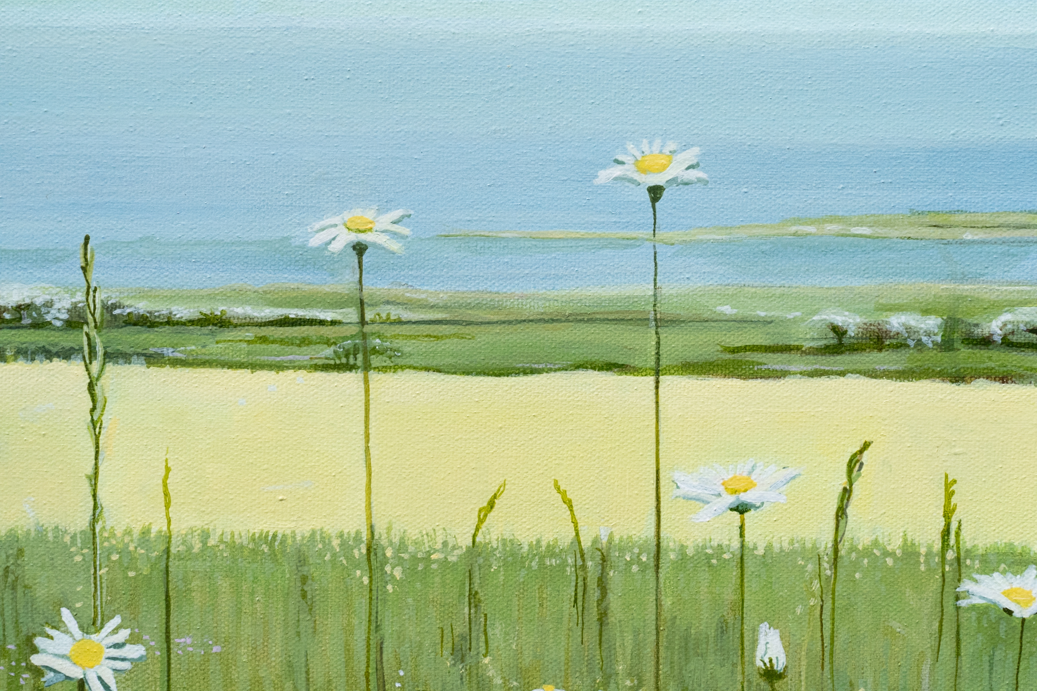 Ruth Wood original Irish art beautiful painting flowers wild flower meadow late summer querrin co Clare visit clare Querrin Co Clare Ireland West of Ireland flowers field of flowers framed painting oil painting Irish Interiors Kilbaha Gallery