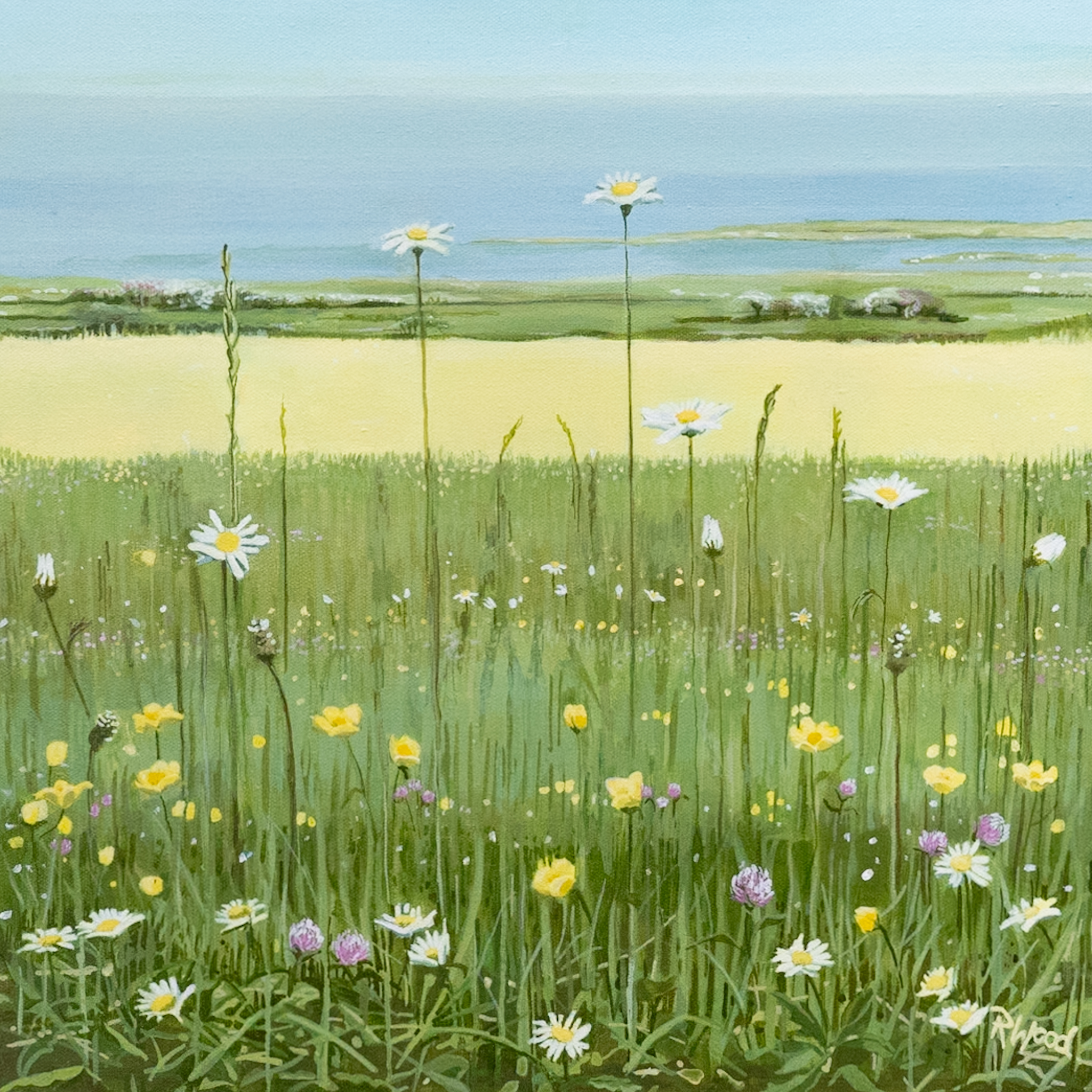 Ruth Wood original Irish art beautiful painting flowers wild flower meadow late summer querrin co Clare visit clare Querrin Co Clare Ireland West of Ireland flowers field of flowers framed painting oil painting Irish Interiors Kilbaha Gallery