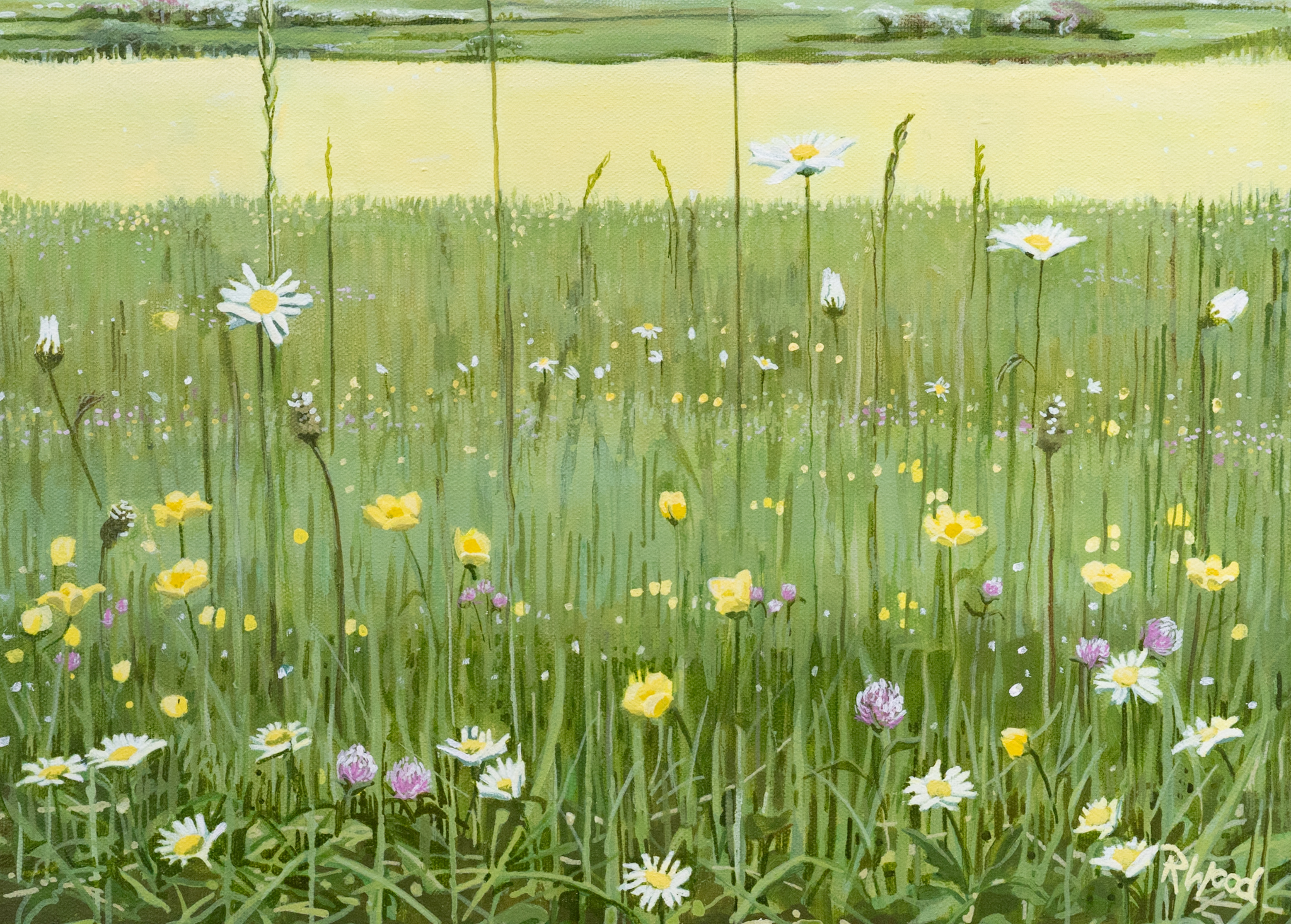 Ruth Wood original Irish art beautiful painting flowers wild flower meadow late summer querrin co Clare visit clare Querrin Co Clare Ireland West of Ireland flowers field of flowers framed painting oil painting Irish Interiors Kilbaha Gallery