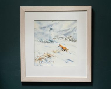 Phil Brennan nature lover watercolour artist birdwatching expert author and contemporary artist original Irish art beautiful Irish watercolour Interiors art and Interiors perfect piece of art unique