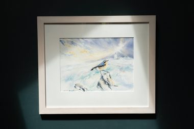 Phil Brennan nature lover watercolour artist birdwatching expert author and contemporary artist original Irish art beautiful Irish watercolour Interiors art and Interiors perfect piece of art unique