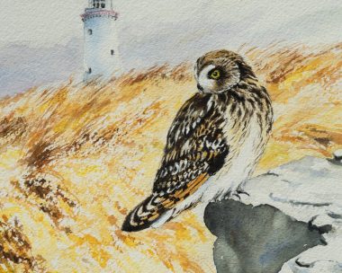 Phil Brennan nature lover watercolour artist birdwatching expert author and contemporary artist original Irish art beautiful Irish watercolour Interiors art and Interiors perfect piece of art unique