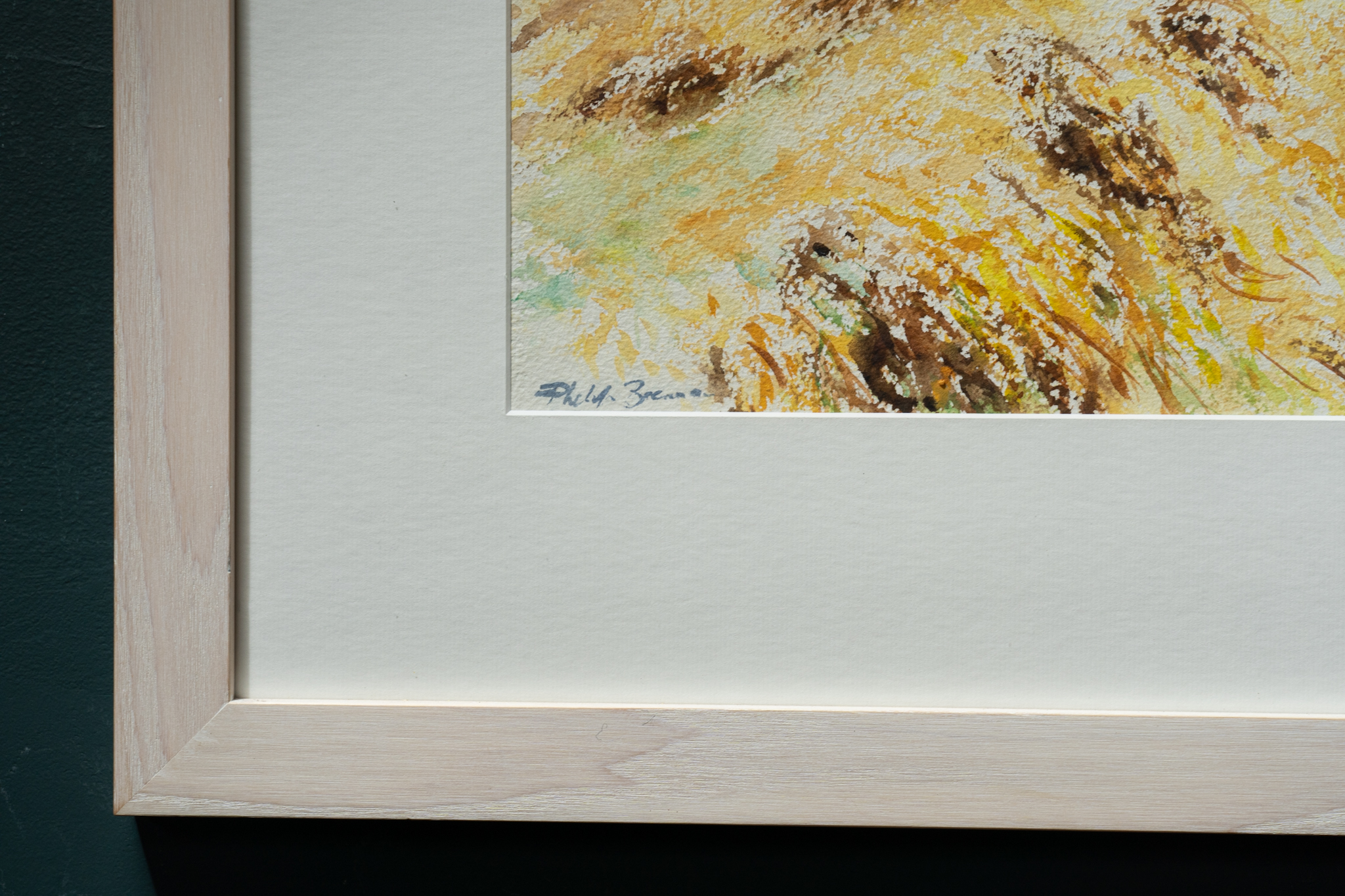 Phil Brennan nature lover watercolour artist birdwatching expert author and contemporary artist original Irish art beautiful Irish watercolour Interiors art and Interiors perfect piece of art unique