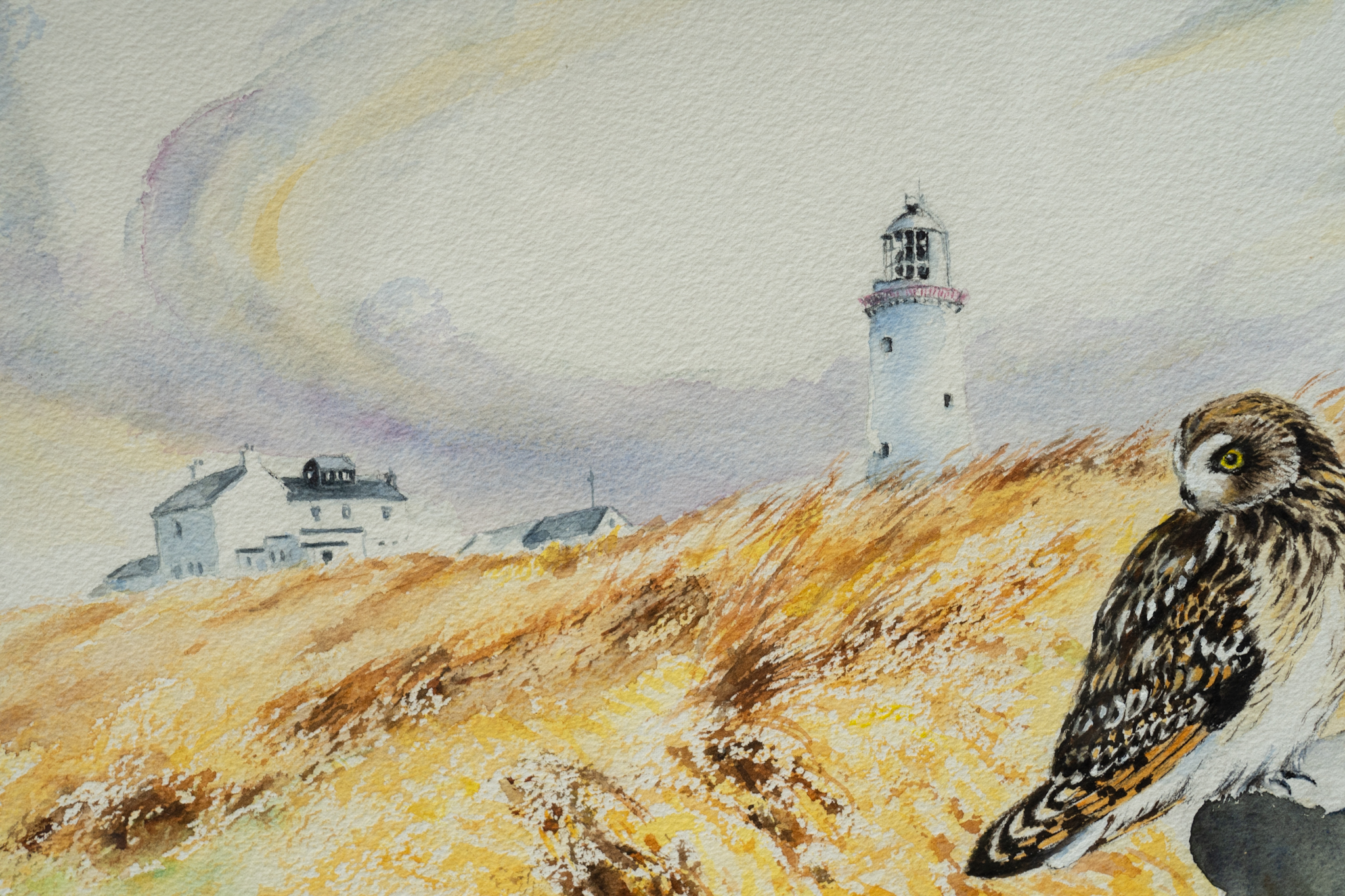 Phil Brennan nature lover watercolour artist birdwatching expert author and contemporary artist original Irish art beautiful Irish watercolour Interiors art and Interiors perfect piece of art unique