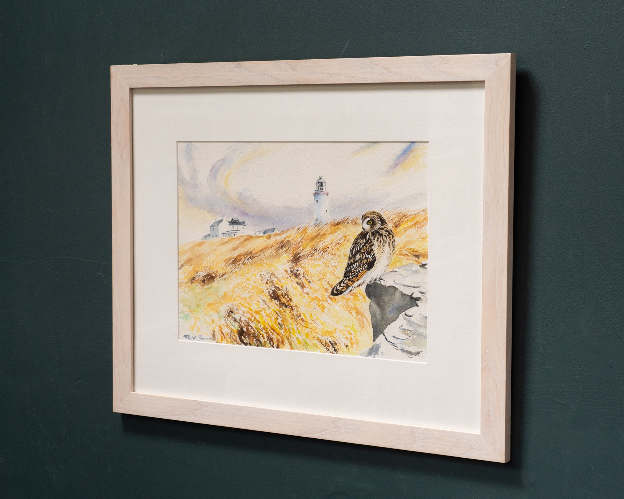 Phil Brennan nature lover watercolour artist birdwatching expert author and contemporary artist original Irish art beautiful Irish watercolour Interiors art and Interiors perfect piece of art unique