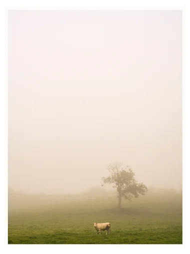 Derek Saville Fine art photography print West of Ireland Kilbaha Gallery beautiful imagery gorgeous composition stunning scenery perfect gift Interiors Irish Interiors