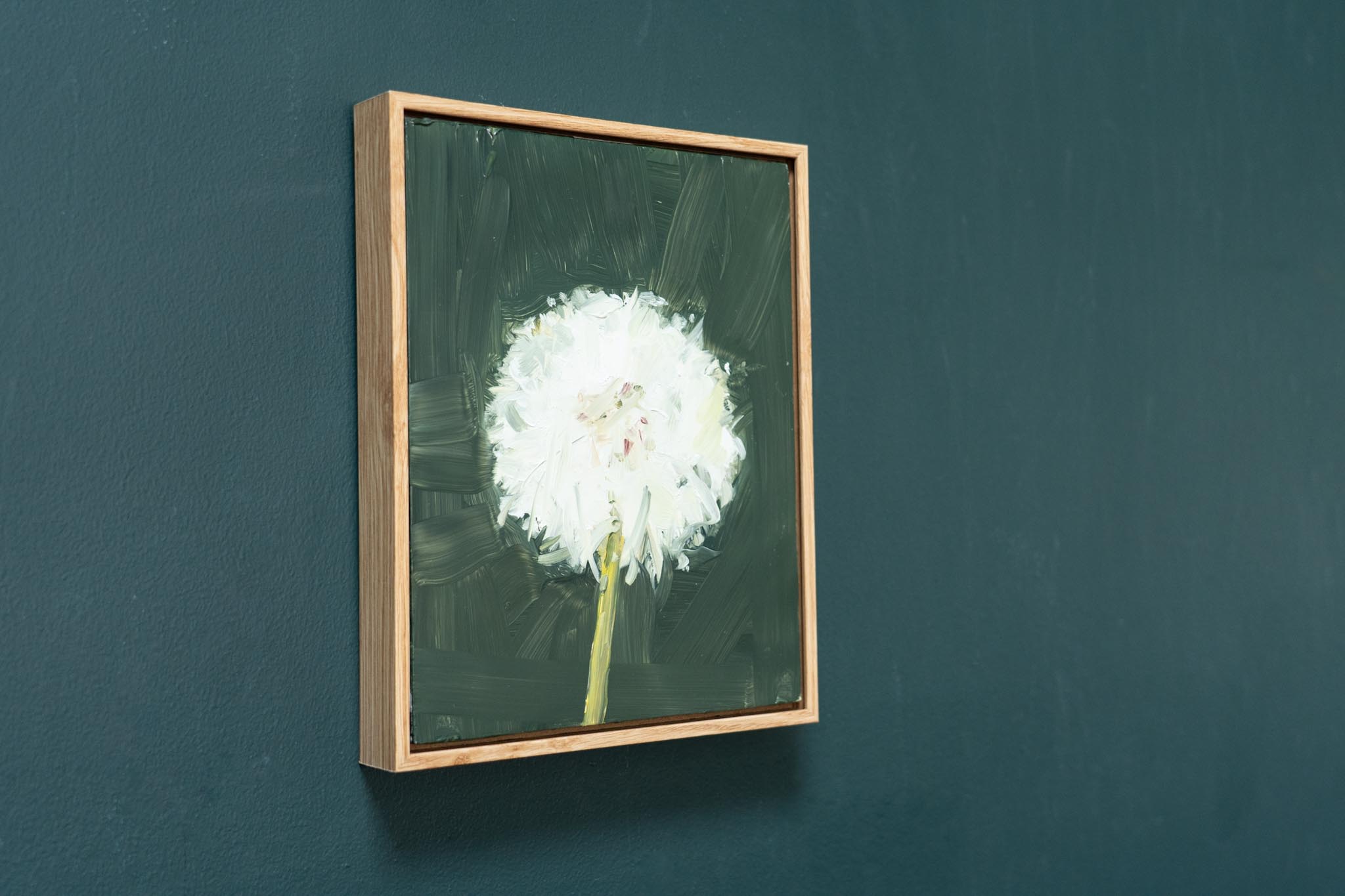 Kaye Maahs Beautiful dandelion lifecycle RHA RA London Irish artist Original Irish art beautiful collectable work Ireland painting artist Ireland Interiors contemporary homes modern spaces Kilbaha Gallery flowers