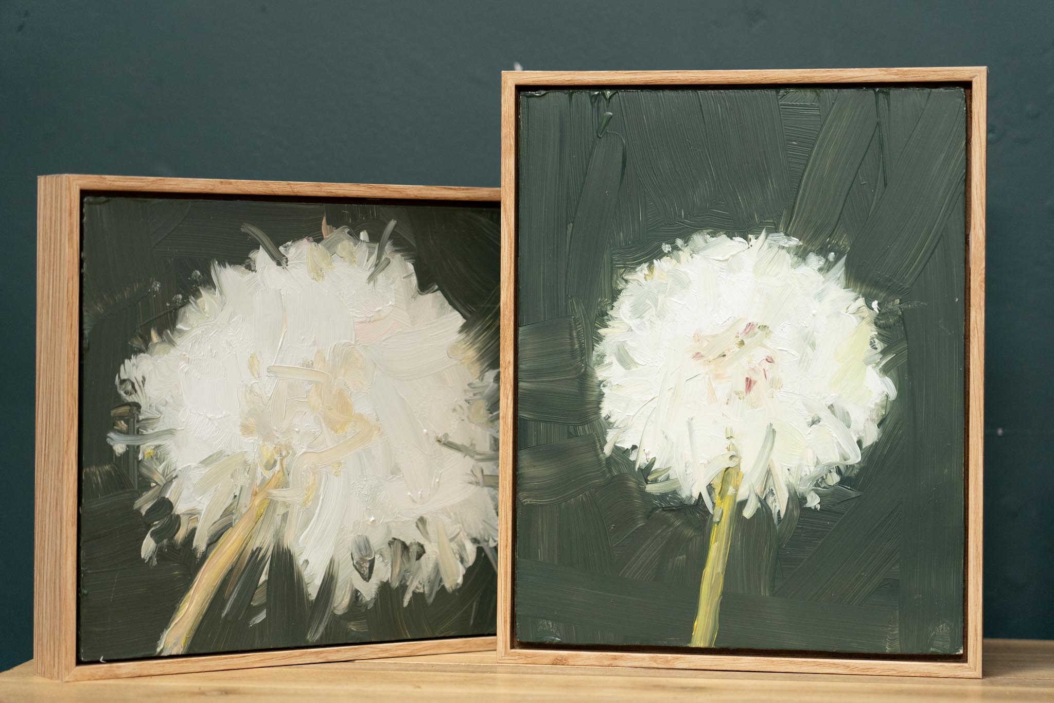 Kaye Maahs Beautiful dandelion lifecycle RHA RA London Irish artist Original Irish art beautiful collectable work Ireland painting artist Ireland Interiors contemporary homes modern spaces Kilbaha Gallery flowers