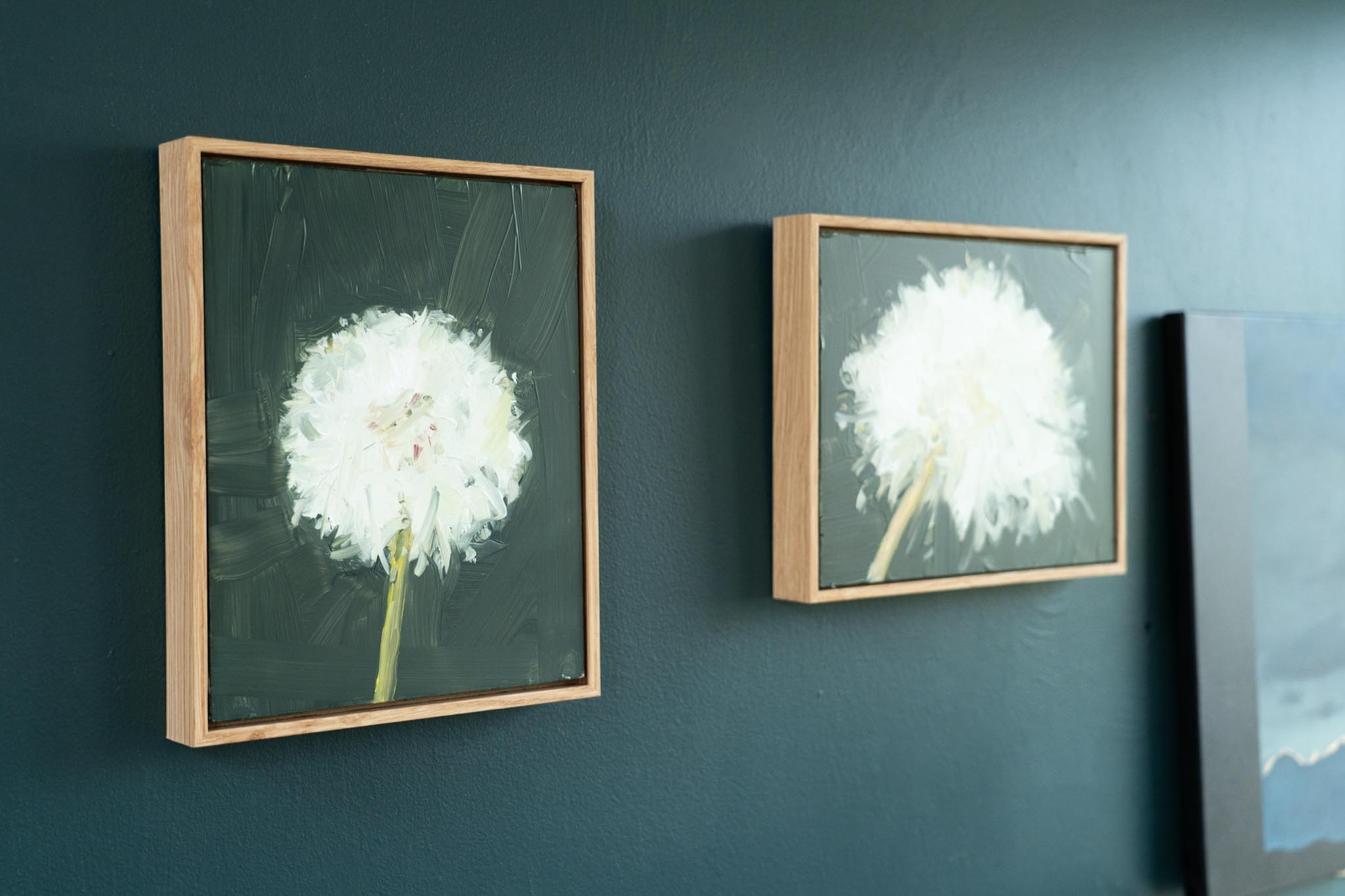 Kaye Maahs Beautiful dandelion lifecycle RHA RA London Irish artist Original Irish art beautiful collectable work Ireland painting artist Ireland Interiors contemporary homes modern spaces Kilbaha Gallery flowers