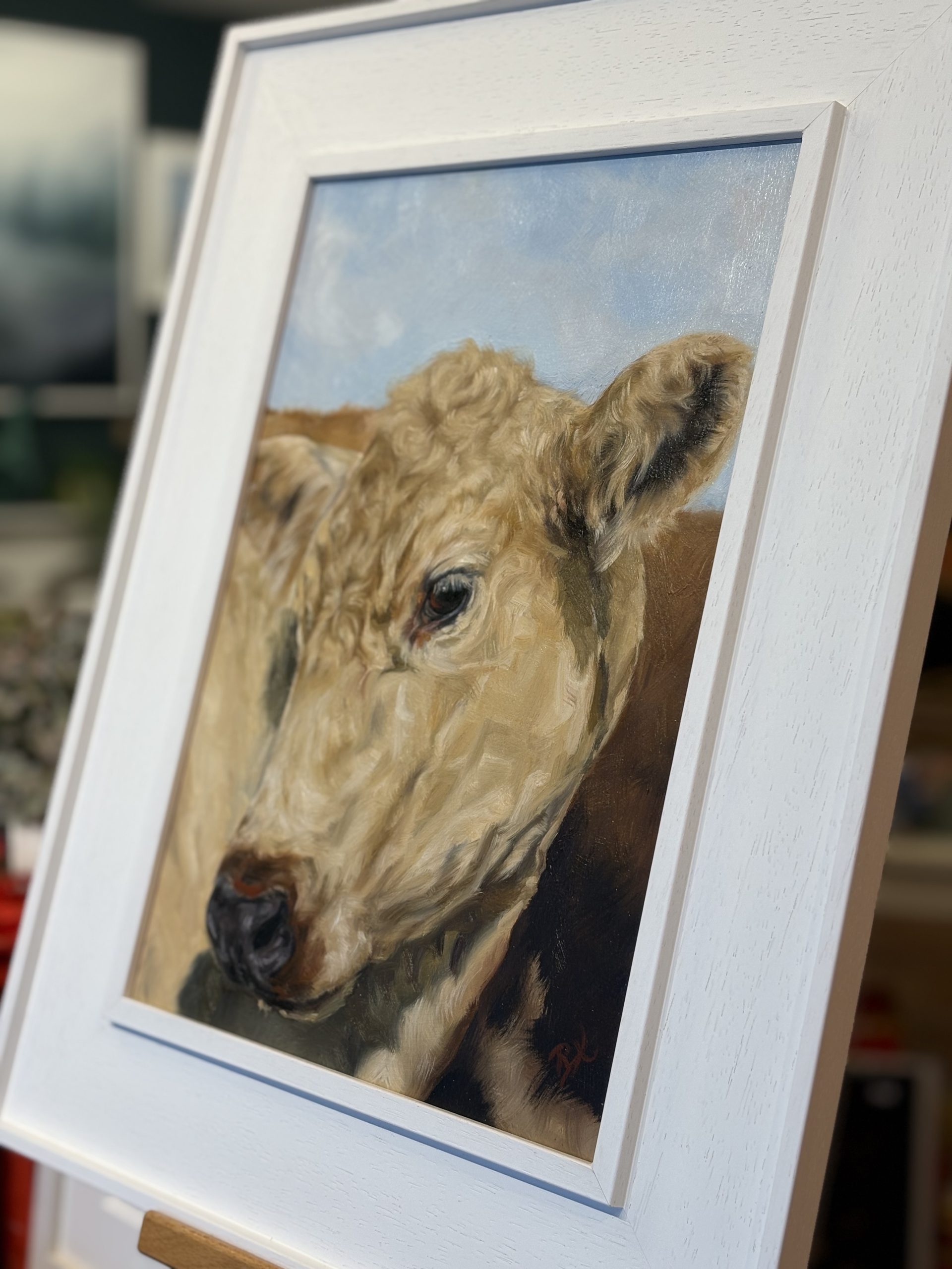Rebekah van Kan coy cow painting oil on canvas stunning original work painting of cow painting animal art contemporary work of art Kilbaha Gallery Ireland Irish Interiors farming