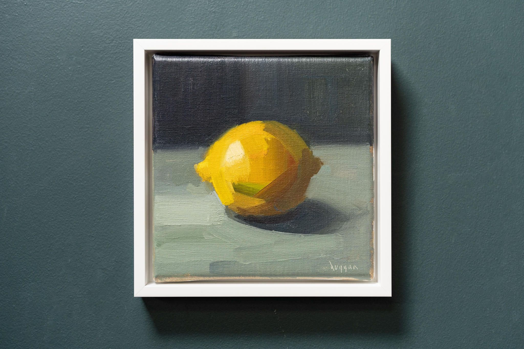 Lemon 2025 oil on canvas Bairbre Duggan original Irish art oil painting still life contemporary artist Kilbaha Gallery Ireland painting
