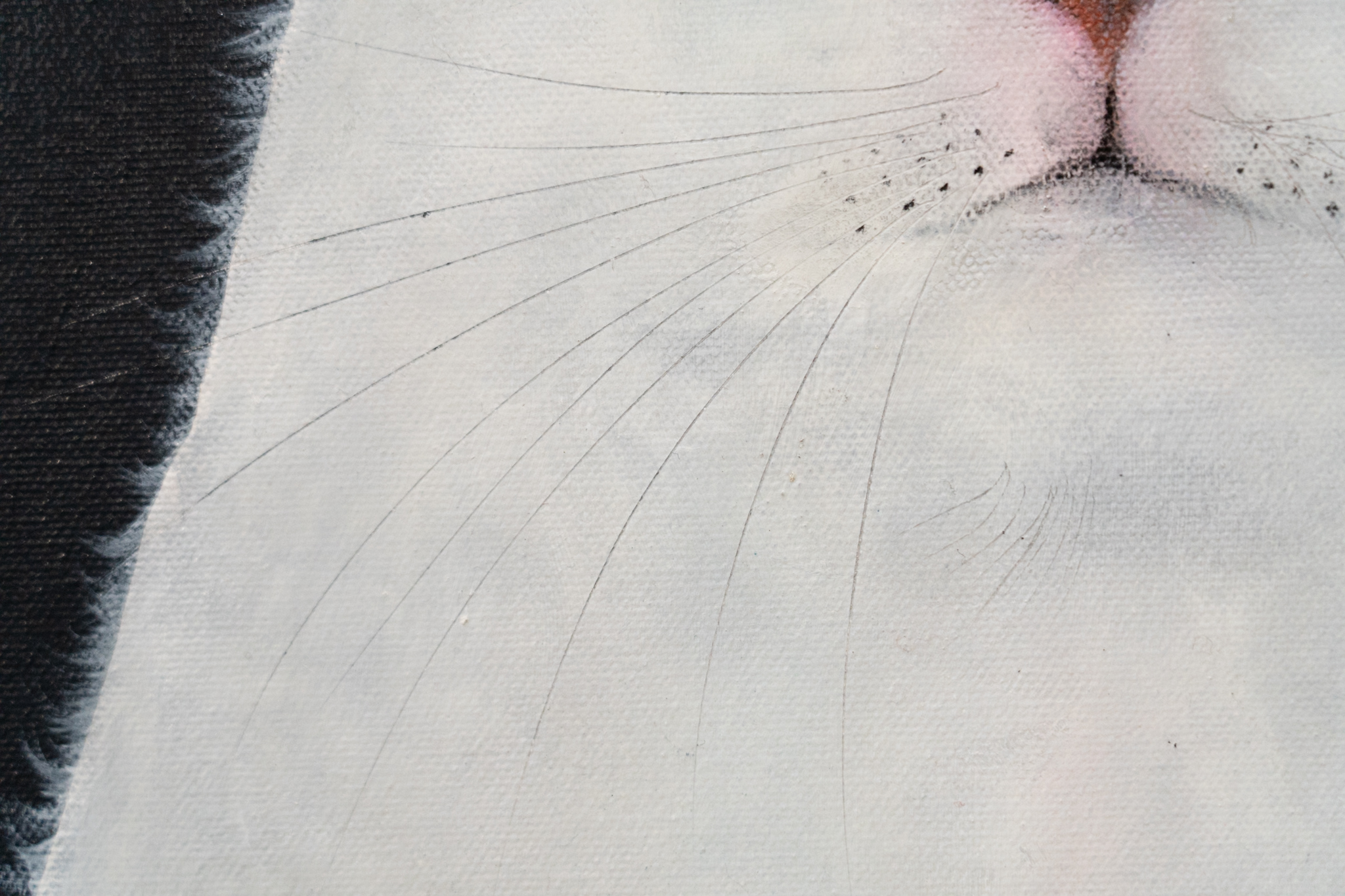 Heidi Wickham Original Contemporary Irish Art animals contrast Irish interiors Kilbaha Gallery Interior Design acrylics on canvas animals bunny painting cat dog Ireland