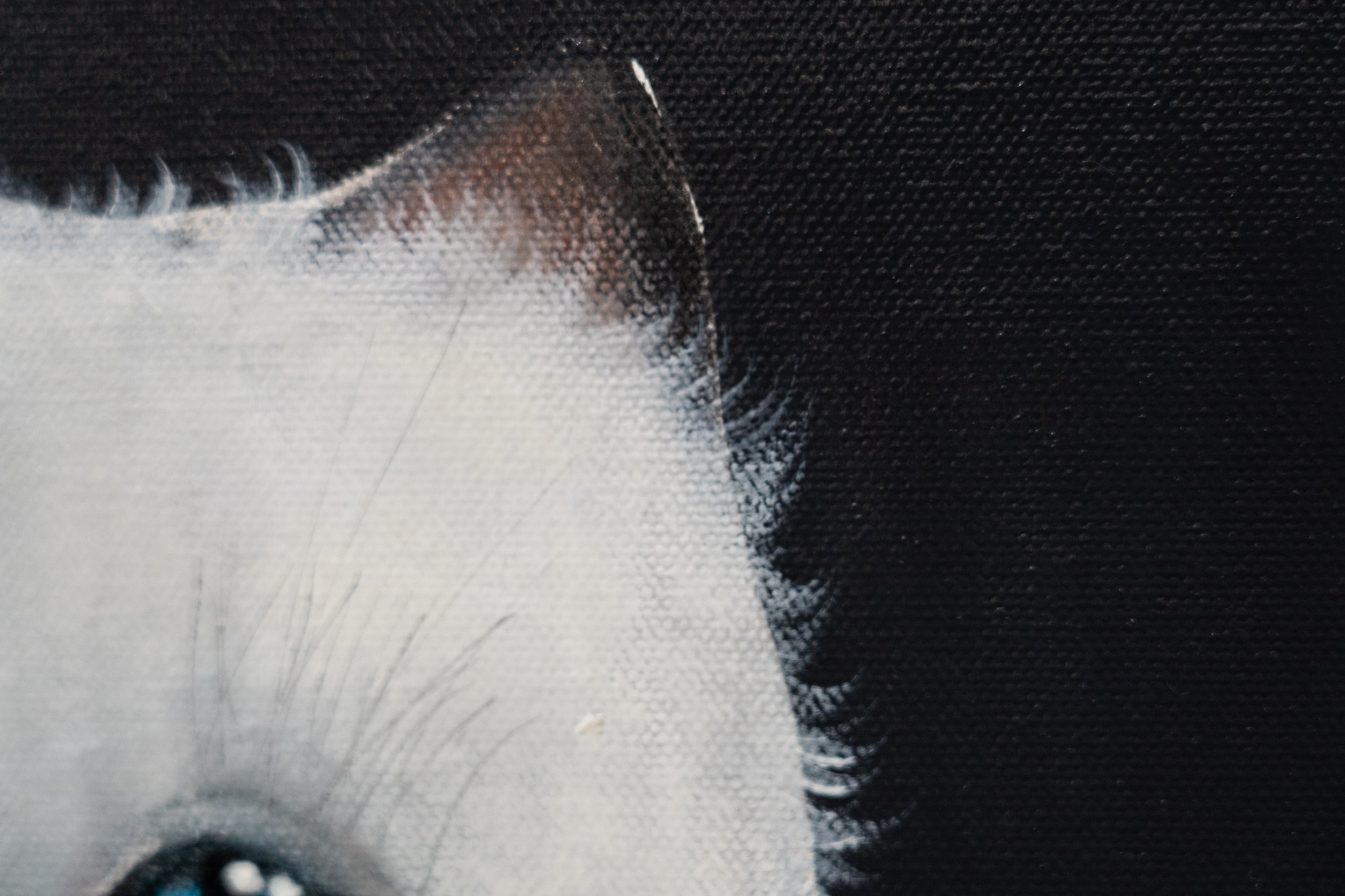 Heidi Wickham Original Contemporary Irish Art animals contrast Irish interiors Kilbaha Gallery Interior Design acrylics on canvas animals bunny painting cat dog Ireland