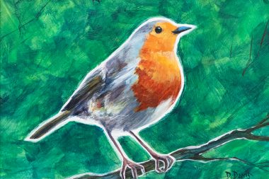 Robin on Green
