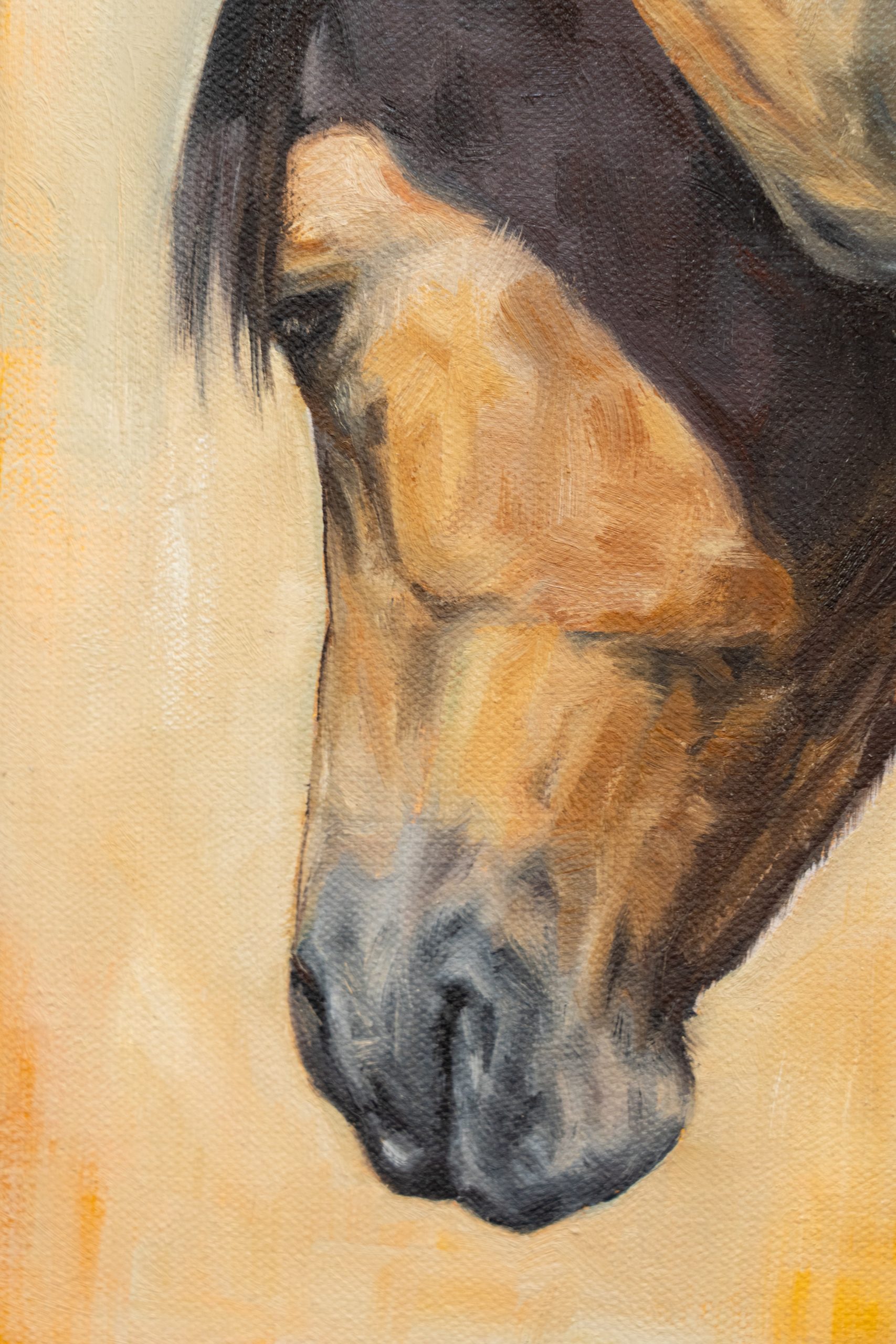 Rebekah van Kan beautiful original oil painting equine horses lazy hazy day beautiful warmth original art West of Ireland Kilbaha Gallery