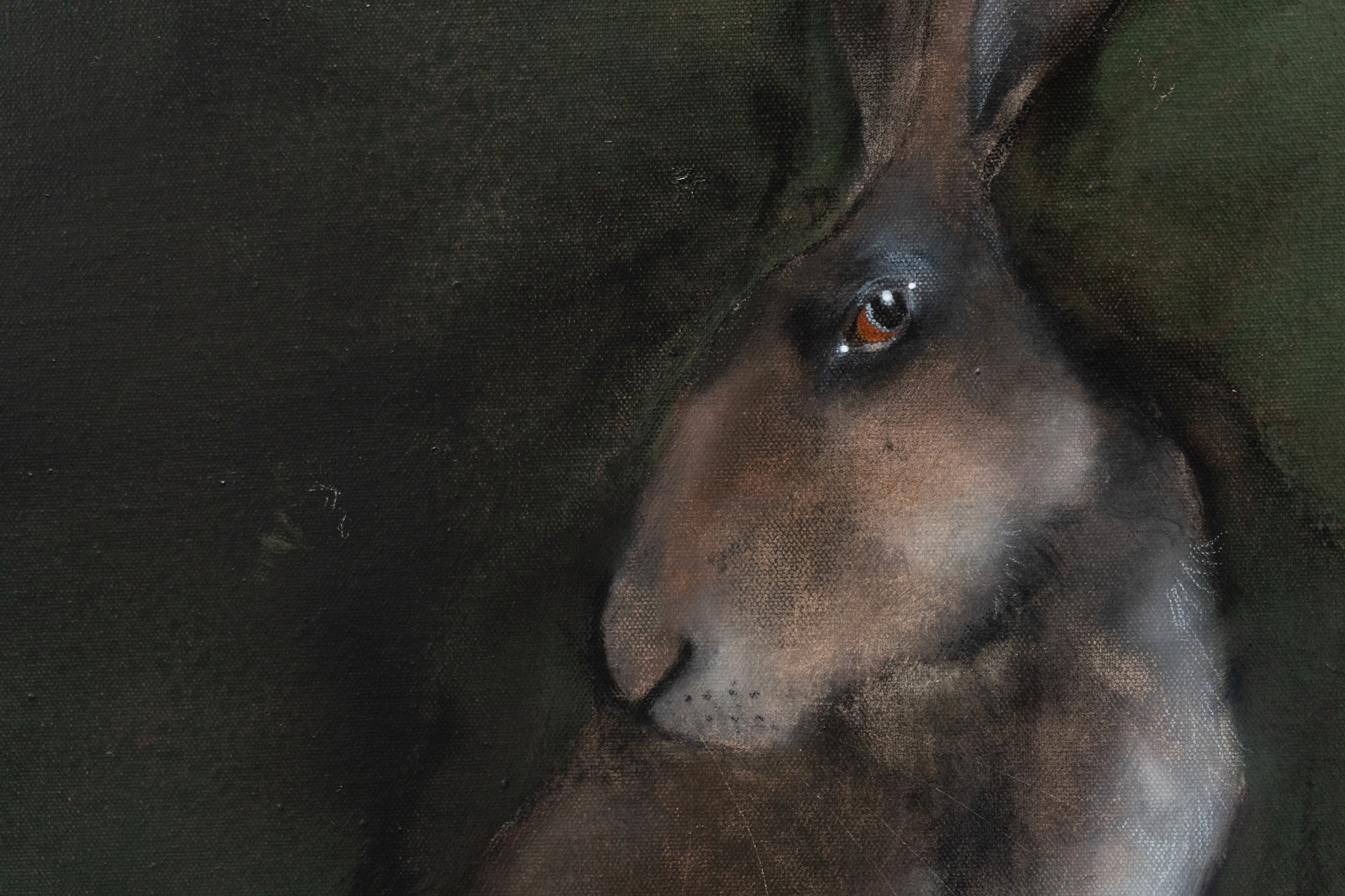 Heidi Wickham animal paintings original acrylic West of Ireland drawings illustrations original art beautiful colourful work Original Irish Art Kilbaha Gallery Ireland paintings
